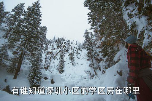 有谁知道深圳小区的学区房在哪里