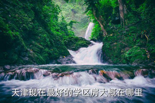 天津现在最好的学区房大概在哪里