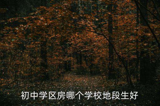初中学区房哪个学校地段生好