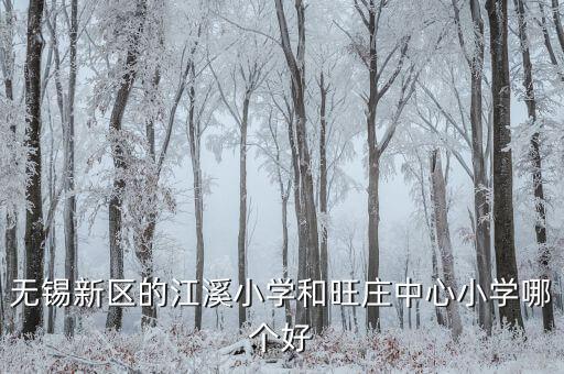 无锡新区的江溪小学和旺庄中心小学哪个好
