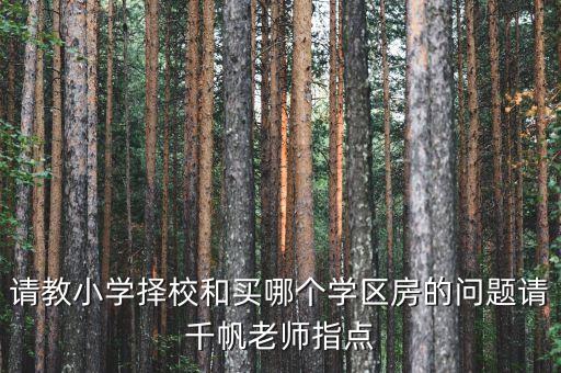 请教小学择校和买哪个学区房的问题请千帆老师指点