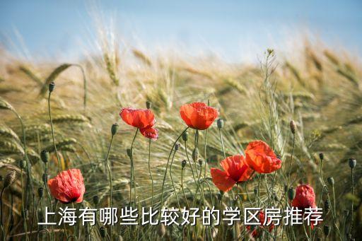 上海有哪些比较好的学区房推荐