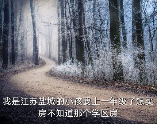 盐城二手学区房哪个好，盐城南一小和盐中双学区房位置最好的是那边多少钱一平方什