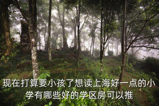 现在打算要小孩了想读上海好一点的小学有哪些好的学区房可以推