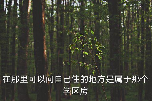 新城市之光哪个学区房嘉兴，求助学区房