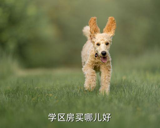 学区房买哪儿好