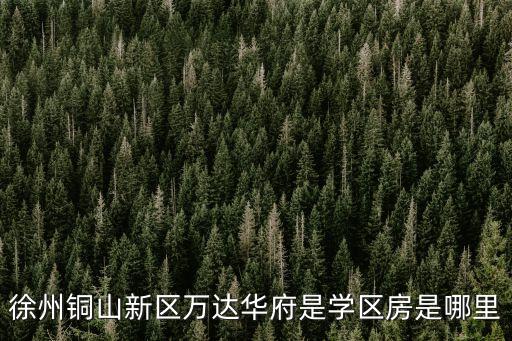 徐州铜山新区万达华府是学区房是哪里