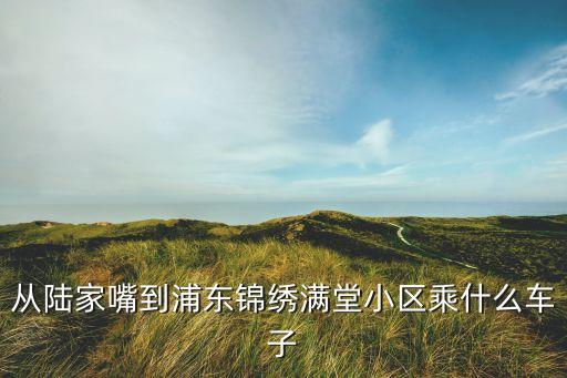 从陆家嘴到浦东锦绣满堂小区乘什么车子