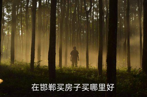 在邯郸买房子买哪里好