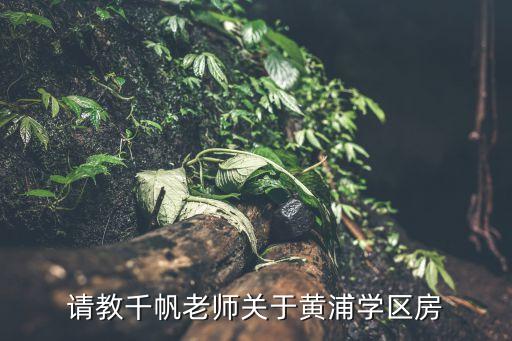 请教千帆老师关于黄浦学区房