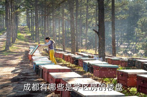 成都有哪些是学区房的楼盘