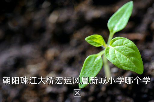 朝阳区哪个学区房，朝阳市雅士兰亭小区属于哪个学区