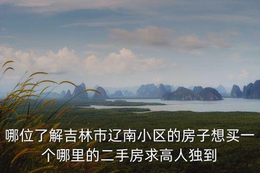 吉林省哪个学区房好卖些，想在吉林市买房子 哪家楼盘好 地点好 有升值空间