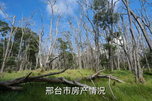 邢台市房产情况
