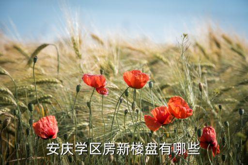 安庆学区房新楼盘有哪些