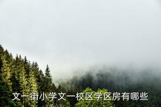 文一街小学文一校区学区房有哪些