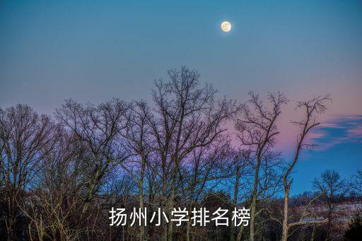 扬州小学排名榜