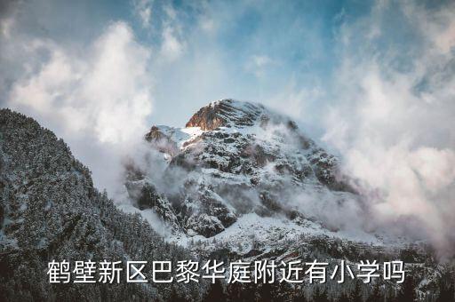 鹤壁新区巴黎华庭附近有小学吗