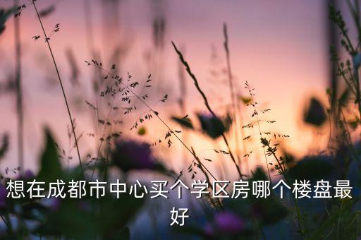 想在成都市中心买个学区房哪个楼盘最好