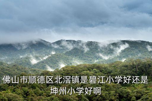 佛山北顺哪个小学区房好，在佛山有哪所小学好