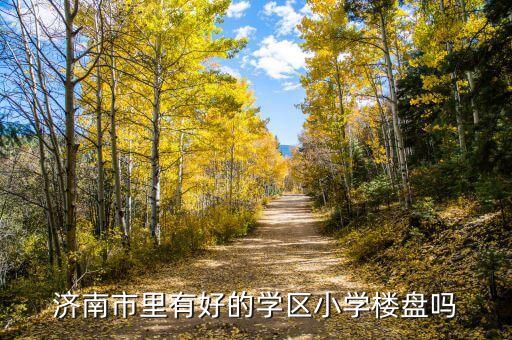 济南学区房在哪个区买，济南哪里的房子是学区房而且周边环境比较好的历下区或者市中区的