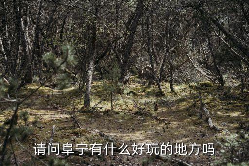 请问阜宁有什么好玩的地方吗