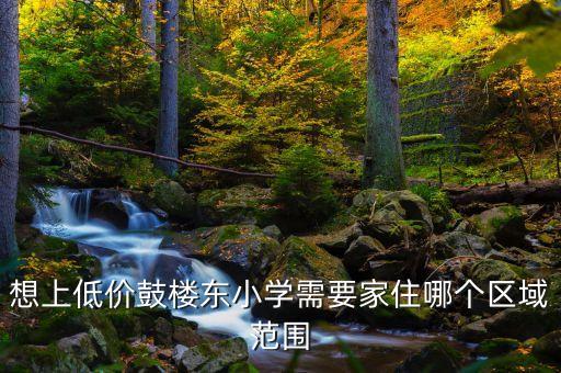 想上低价鼓楼东小学需要家住哪个区域范围