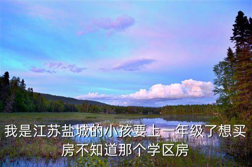 我是江苏盐城的小孩要上一年级了想买房不知道那个学区房