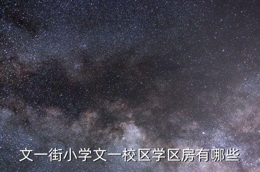 文一街小学文一校区学区房有哪些