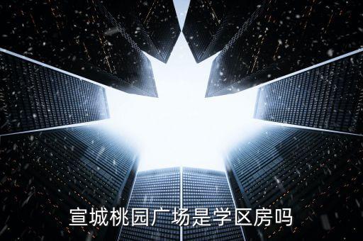 宣城桃园广场是学区房吗