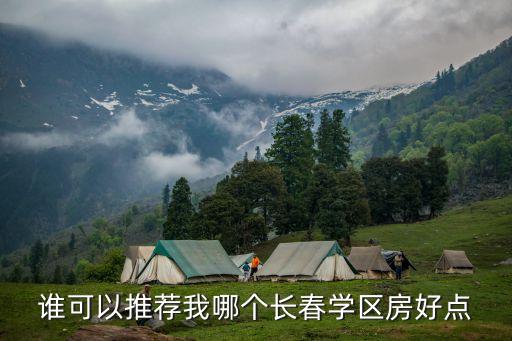 谁可以推荐我哪个长春学区房好点