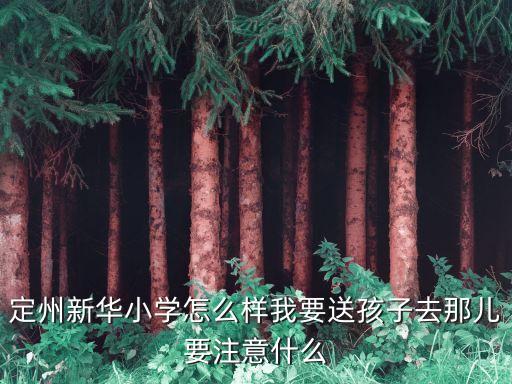 定州新华小学怎么样我要送孩子去那儿要注意什么
