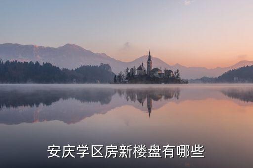 安庆学区房新楼盘有哪些