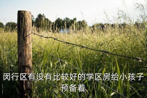 上海华泾哪个学区房好，闵行区有没有比较好的学区房给小孩子预备着