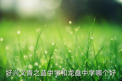 好兴义青之蓝中学和龙盘中学哪个好