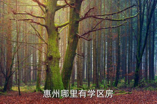 惠州哪里有学区房