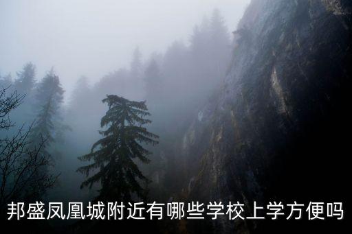 玉林凤凰城属于哪个学区的房，玉林房地产网