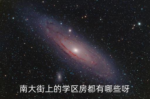 南大街上的学区房都有哪些呀