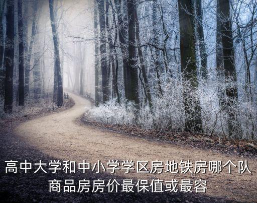 高中大学和中小学学区房地铁房哪个队商品房房价最保值或最容