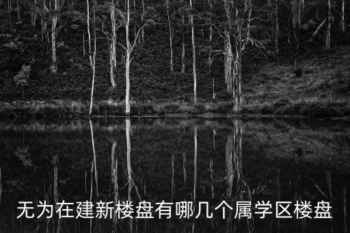 桃源名郡属于哪个学区房，求教学区房是怎么划分的