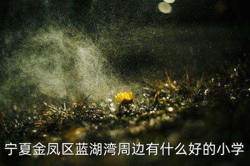 宁夏金凤区蓝湖湾周边有什么好的小学