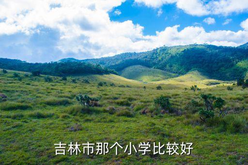 吉林市那个小学比较好