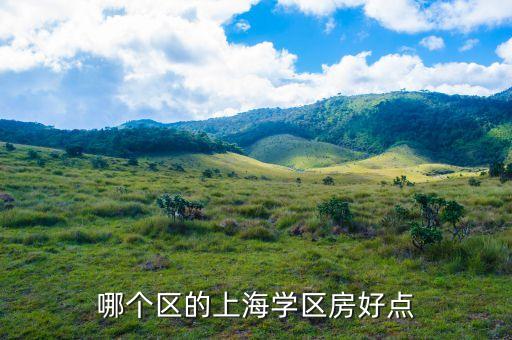 哪个区的上海学区房好点