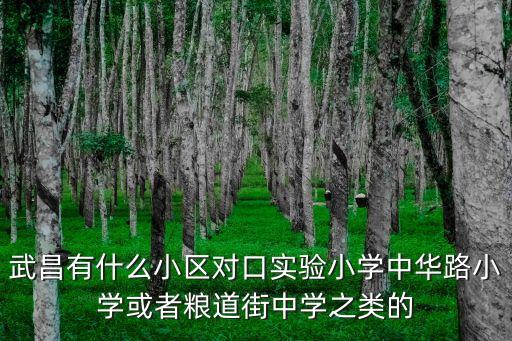 武昌有什么小区对口实验小学中华路小学或者粮道街中学之类的