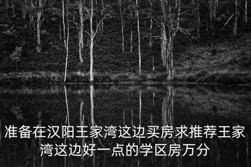 准备在汉阳王家湾这边买房求推荐王家湾这边好一点的学区房万分