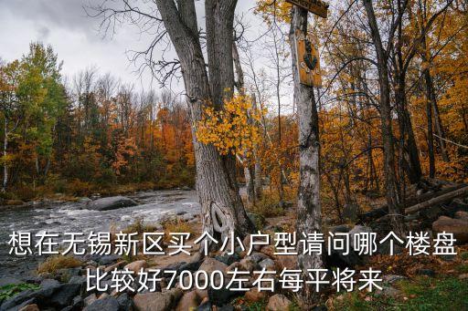 想在无锡新区买个小户型请问哪个楼盘比较好7000左右每平将来