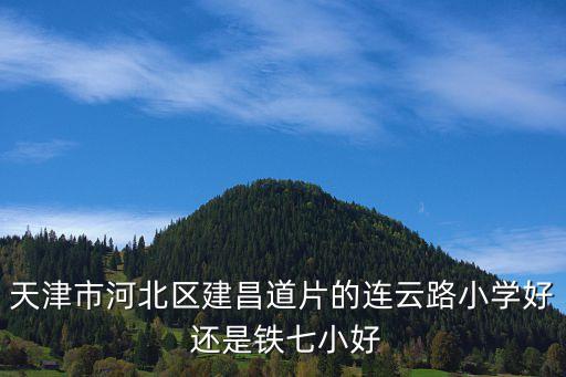 天津市河北区建昌道片的连云路小学好 还是铁七小好