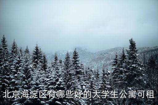 北京海淀区有哪些好的大学生公寓可租