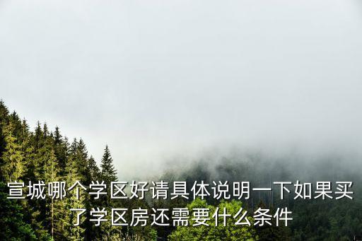 宣城哪个学区好请具体说明一下如果买了学区房还需要什么条件