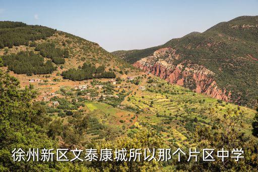 徐州新区文泰康城所以那个片区中学